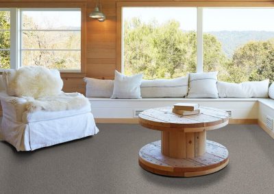 Platinum Texture Accents - Living Room