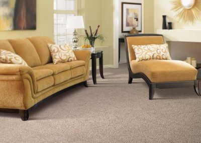 Everstrand Carpet by Mohawk - Ethereal Art