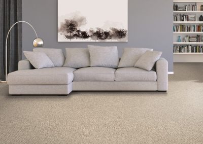 Braided Classic Carpet - Everstrand by Mohawk