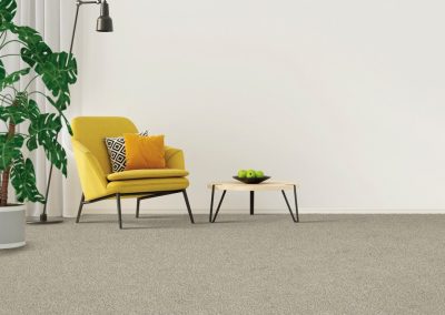 Astounding Flair Polyester Carpet by Everstrand