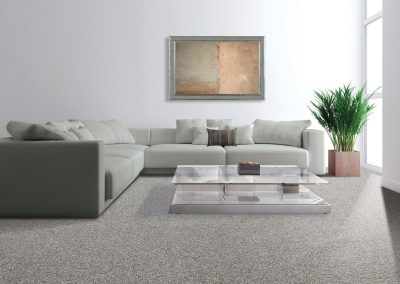 Everstrand carpet by Mohawk - Amped